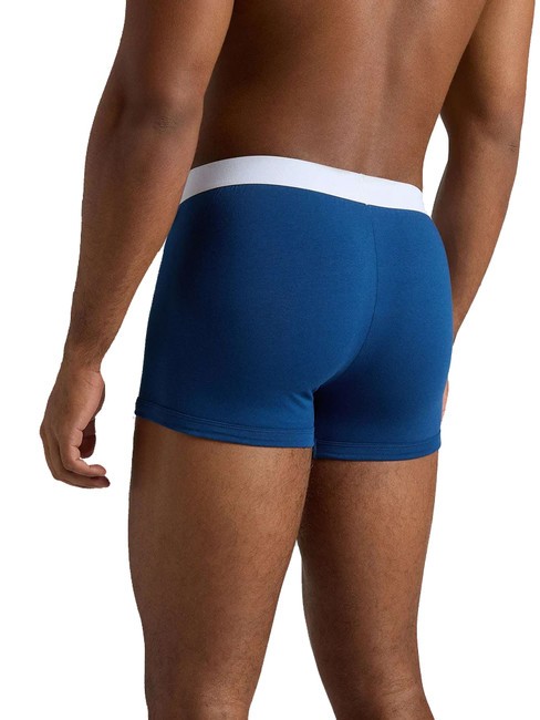 FOZ 3 Boxer Trunks wh/blue/d. - Men's briefs