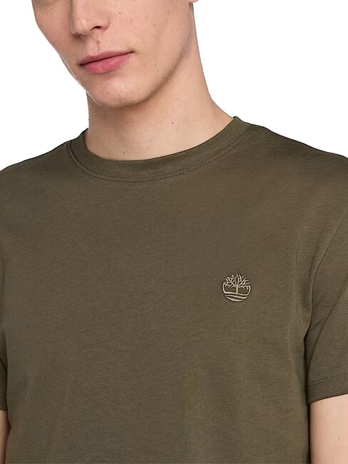 SS DUNRIVER CREW Cotton T-shirt leaf green-cassel earth - T-shirt