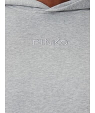 PINKO MAKAMBA Hoodie grey drizzle - Women's Sweatshirts - 6