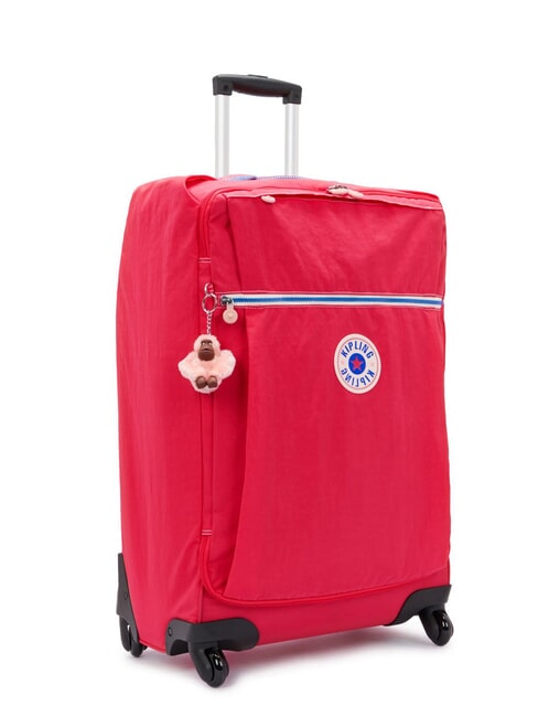 DARCEY M Medium size trolley berry blitz wb - Semi-rigid Trolley Cases