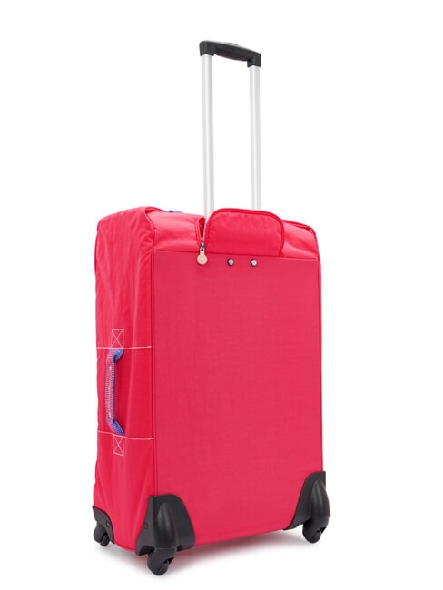 DARCEY M Medium size trolley berry blitz wb - Semi-rigid Trolley Cases