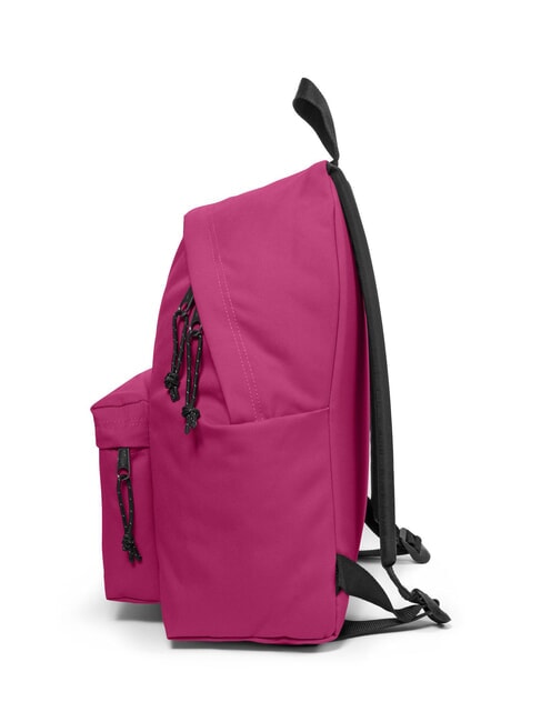 PADDED PAKR Backpack magnoliafuchsia - Backpacks & School and Leisure