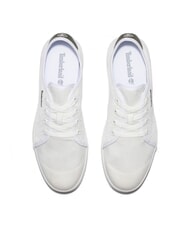 TIMBERLAND SHAPE PARK LOW  Sneakers blanc de blanc - Men’s shoes - 3