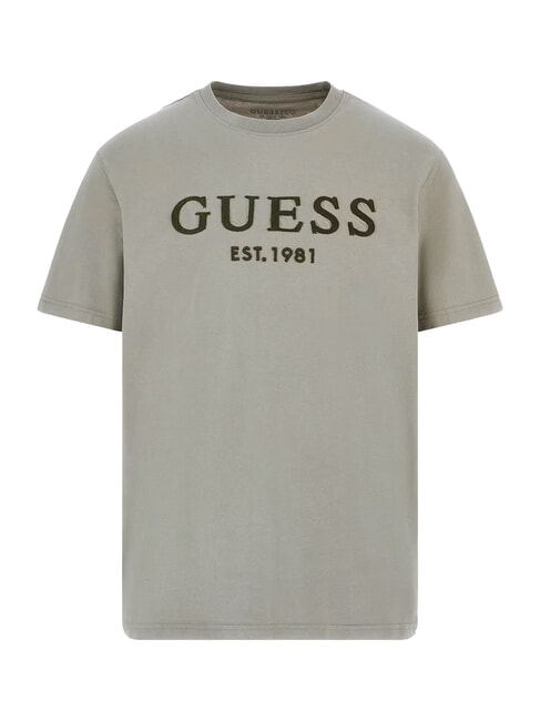 BOX LOGO T-shirt with embroidered logo mossy green - T-shirt