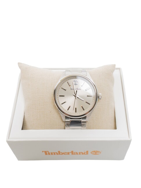 NORTHBRIDGE Time only watch steel - Watches