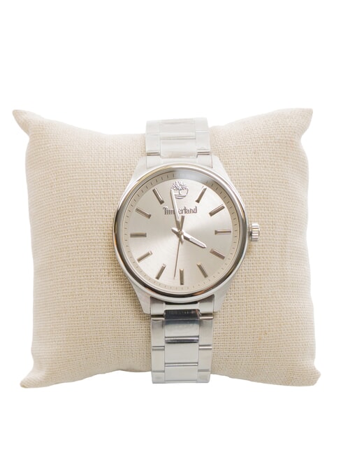 NORTHBRIDGE Time only watch steel - Watches