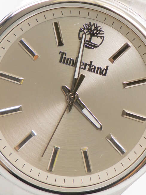 NORTHBRIDGE Time only watch steel - Watches