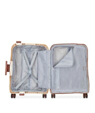 DELSEY MONCEY MR Slim Hand Luggage Trolley - Hand luggage