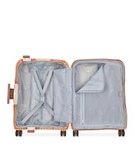 DELSEY MONCEY MR Slim Hand Luggage Trolley - Hand luggage