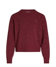 TOMMY HILFIGER TH KIDS Crew neck sweater deep red - Children's Sweaters - 3