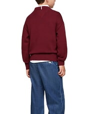 TOMMY HILFIGER TH KIDS Cotton crew neck sweater - Child T-shirt
