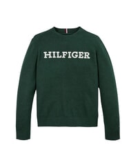 TOMMY HILFIGER TH KIDS Striped sweater ornamental green - Child T-shirt - 2