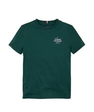 TOMMY HILFIGER TH KIDS Short-sleeved cotton T-shirt ornamental green - Child T-shirt - 3