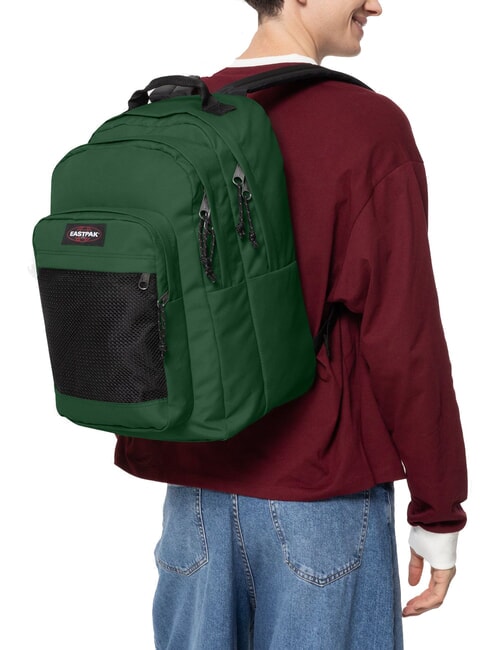 PINNACLE STUDY BUDDY Backpack with 15.6" laptop holder bristle green - Backpacks & School and Leisure