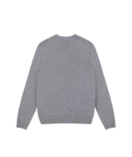 COLMAR STANDARD  Crew neck sweater - Men's Sweaters