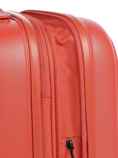 LOGODUCK   ginger - Hand luggage