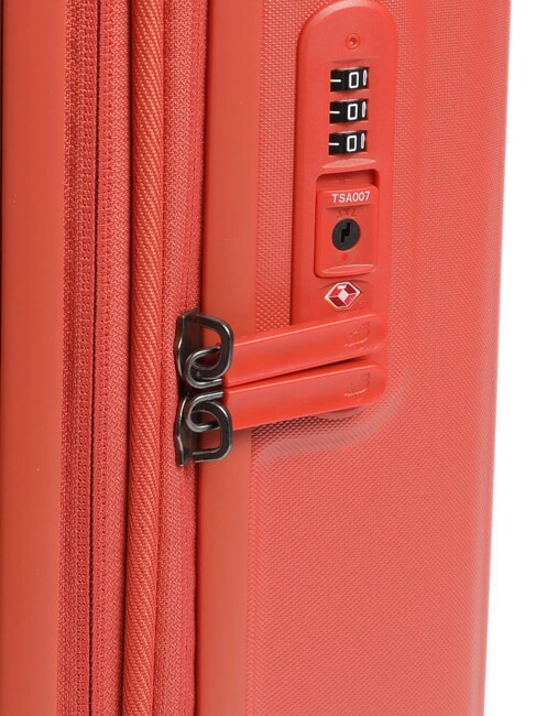 LOGODUCK   ginger - Hand luggage