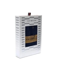 TOMMY HILFIGER TH Kit: Briefs + Socks outline flag/desert sky - Men's briefs - 4