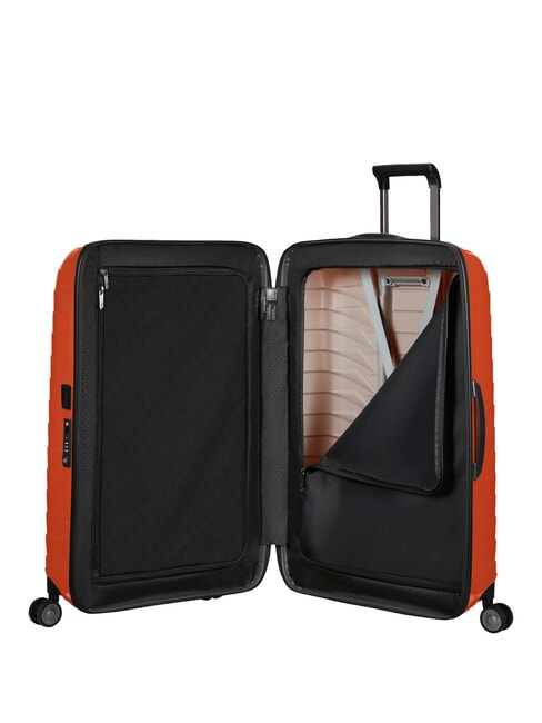 PROXIS PROXIS Large size trolley flame - Rigid Trolley Cases