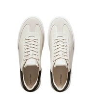 CALVIN KLEIN LP CUPSOLE LACE UP Leather sneakers brown - Women&rsquo;s shoes - 5