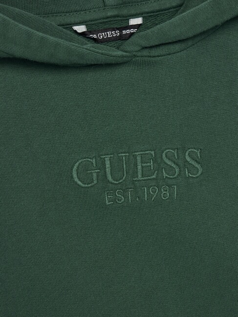 KIDS Children's sweatshirt with hood and pocket throwback green - Baby Sweatshirt