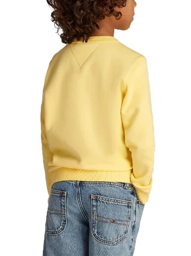 TH KIDS Crewneck sweatshirt with print lemongrass - Baby Sweatshirt