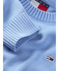 TOMMY HILFIGER TH JEANS  Cotton crewneck sugarplum blue - Men's Sweaters - 6