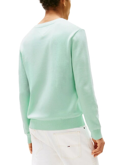 TH JEANS Cotton crew neck sweater spring mint - Men's Sweaters