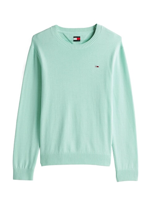 TH JEANS Cotton crew neck sweater spring mint - Men's Sweaters