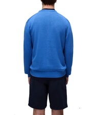 NAPAPIJRI D-AMBRA Cotton sweater ultramarine - Men's Sweaters - 2