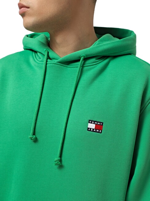 TH JEANS Flag Patch Hoodie coastal green - Sweatshirts