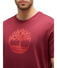 TIMBERLAND KBEC RIVER Short-sleeved T-shirt burgundy - T-shirt - 3