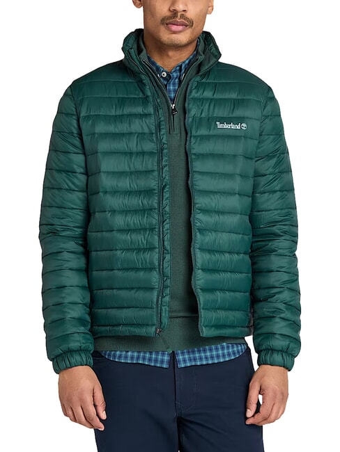 AXIS PEAK Men's Jacket green gables - Men's Jackets