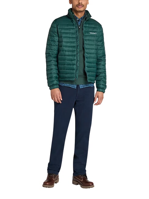 AXIS PEAK Men's Jacket green gables - Men's Jackets