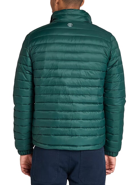 AXIS PEAK Men's Jacket green gables - Men's Jackets