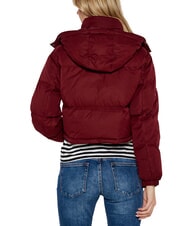 TOMMY HILFIGER TH JEANS Short down jacket deep red - Women's down jackets - 2