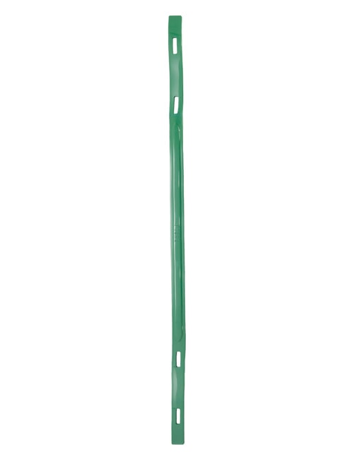 CAMPIONARIO - MAN Shoulder strap for bags cilantro green - Accessories for bags