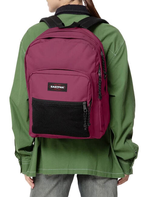 PINNACLE Backpack Burgundy wine - Backpacks & School and Leisure