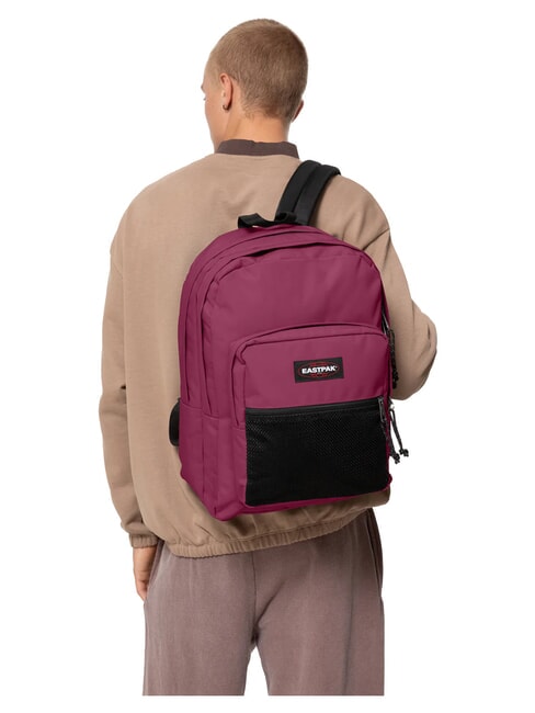 PINNACLE Backpack Burgundy wine - Backpacks & School and Leisure