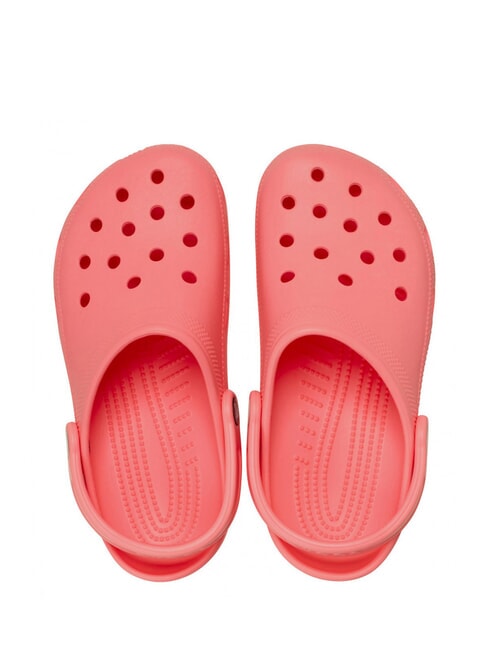 CLASSIC SABOT U Sandal guava - Unisex shoes