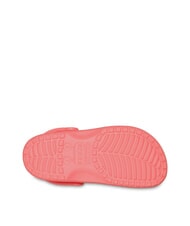 CROCS CLASSIC SABOT U Sandal guava - Unisex shoes - 5