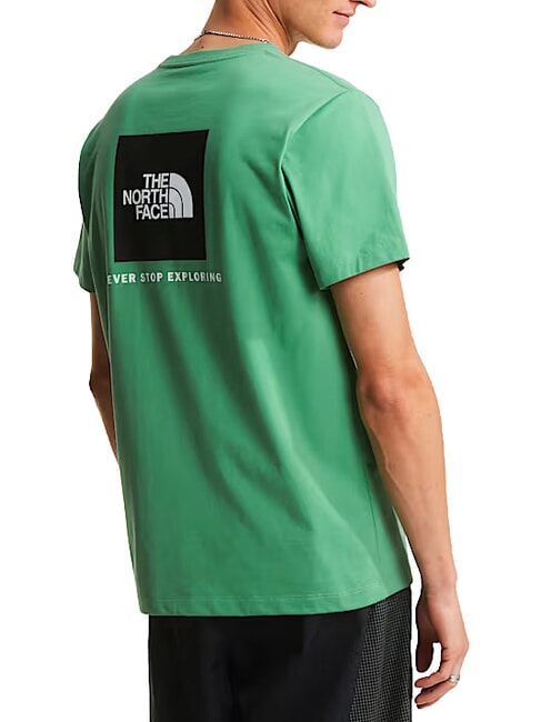 EVOLUTION BOX Short-sleeved T-shirt, 100% cotton dimmed algae - T-shirt