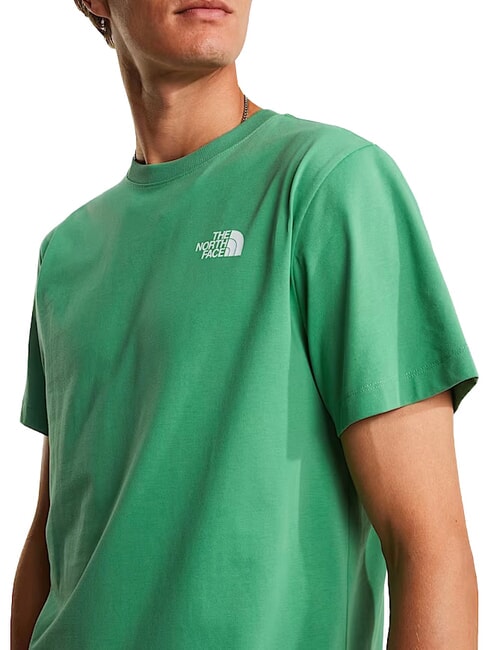 EVOLUTION BOX Short-sleeved T-shirt, 100% cotton dimmed algae - T-shirt
