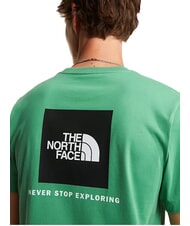 THE NORTH FACE EVOLUTION BOX Short-sleeved T-shirt, 100% cotton dimmed algae - T-shirt - 5