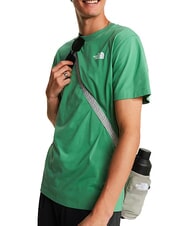 THE NORTH FACE EVOLUTION BOX Short-sleeved T-shirt, 100% cotton dimmed algae - T-shirt - 6