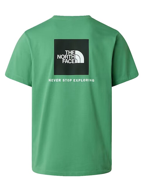 EVOLUTION BOX Short-sleeved T-shirt, 100% cotton dimmed algae - T-shirt