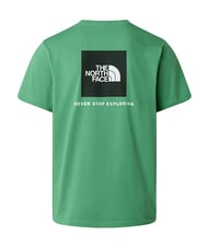 THE NORTH FACE EVOLUTION BOX Short-sleeved T-shirt, 100% cotton dimmed algae - T-shirt - 9