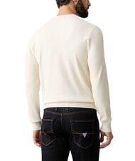 GUESS MASON PRINTED Crew neck sweater - Men's Sweaters