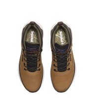 TIMBERLAND FIELD TREKKER Sneakers medium brown nubuck - Men&rsquo;s shoes - 5
