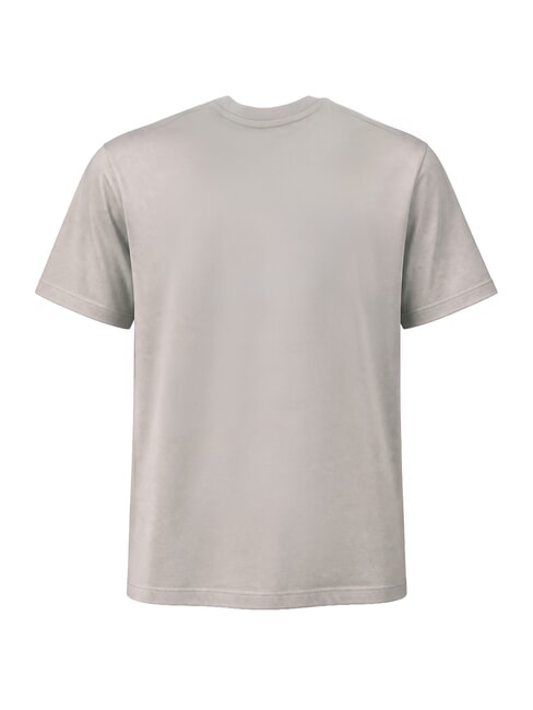 CHAMBERLAIN Cotton T-Shirt foggy grey - T-shirt